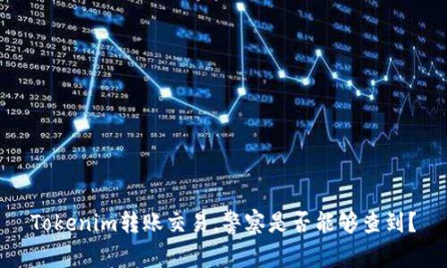 Tokenim转账交易，警察是否能够查到？