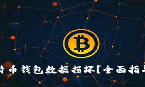 如何应对比特币钱包数据损坏？全面指导与解决方案