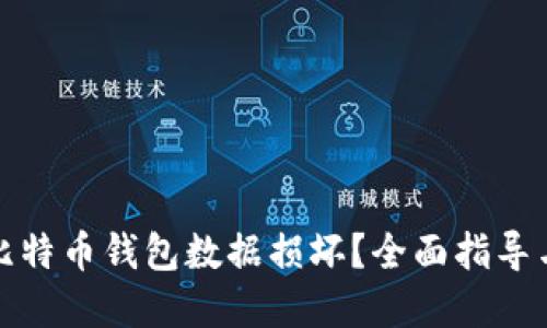 如何应对比特币钱包数据损坏？全面指导与解决方案