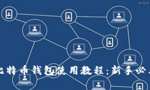 全面解析比特币钱包使用教程：新手必看图解指南