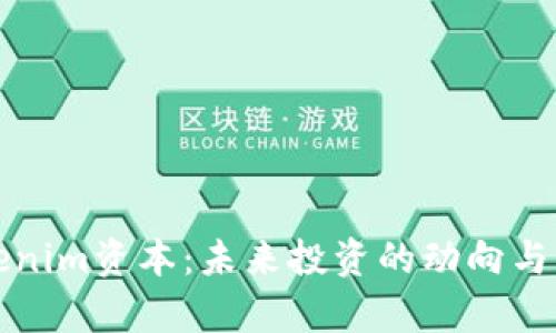 探秘Tokenim资本：未来投资的动向与策略分析