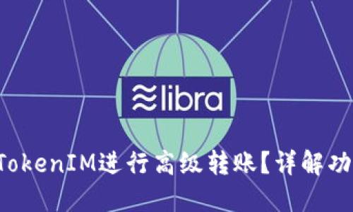 如何利用TokenIM进行高级转账？详解功能与优劣！
