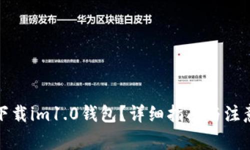如何下载im1.0钱包？详细指南与注意事项