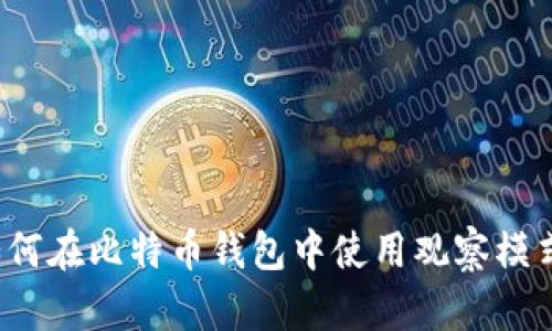 如何在比特币钱包中使用观察模式？