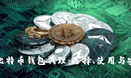 : 揭秘比特币钱包代理：选择、使用与安全指南
