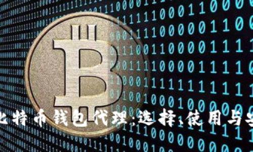 : 揭秘比特币钱包代理：选择、使用与安全指南