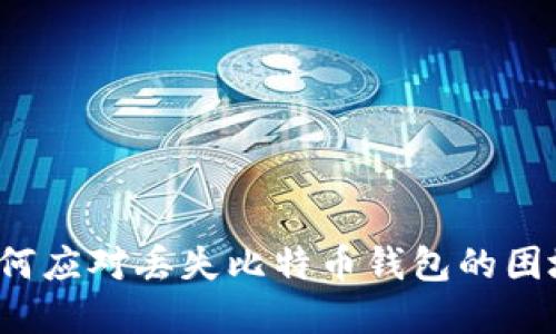 如何应对丢失比特币钱包的困境？