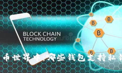 在比特币世界中：哪些钱包支持私钥导入？