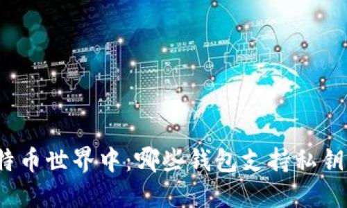 在比特币世界中：哪些钱包支持私钥导入？