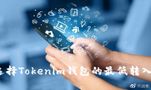 如何选择Tokenim钱包的最低转入金额？