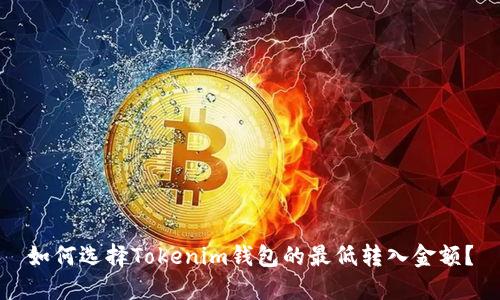 如何选择Tokenim钱包的最低转入金额？
