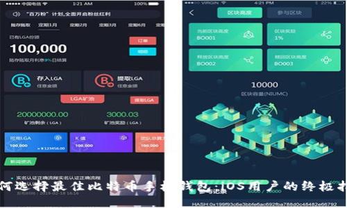 如何选择最佳比特币手机钱包：iOS用户的终极指南