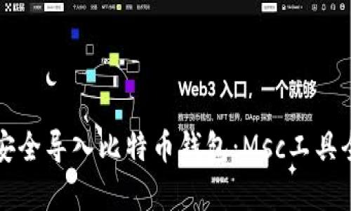 如何安全导入比特币钱包：Msc工具全解析