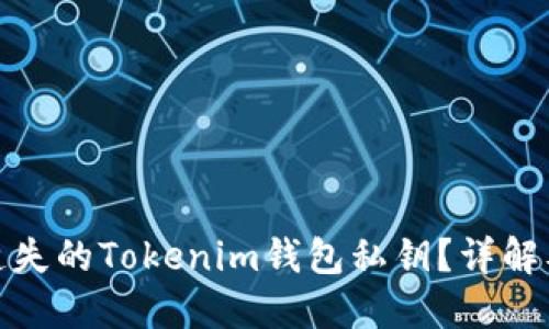 如何找回遗失的Tokenim钱包私钥？详解及实用建议