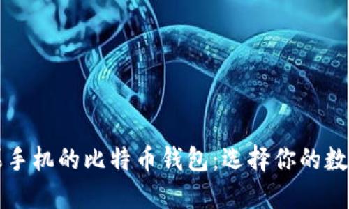 盘点适合苹果手机的比特币钱包：选择你的数字资产护航者