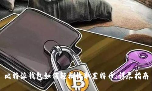 比特派钱包如何轻松收取莱特币：详尽指南