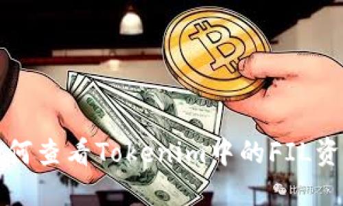 如何查看Tokenim中的FIL资产