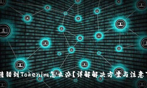 币转错到Tokenim怎么办？详解解决方案与注意事项