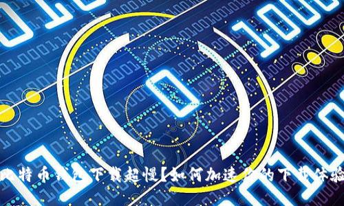 比特币钱包下载超慢？如何加速你的下载体验