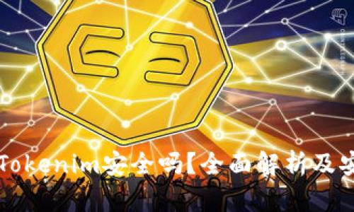 百度上下载Tokenim安全吗？全面解析及安全防护指南