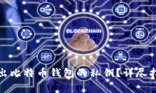 如何安全地导出比特币钱包的私钥？详尽指南与注意事项