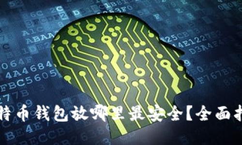 比特币钱包放哪里最安全？全面指南