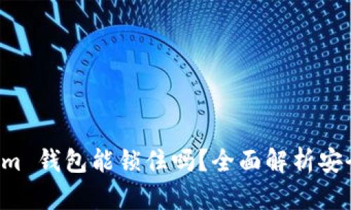 Tokentokenim 钱包能锁住吗？全面解析安全性与实用性