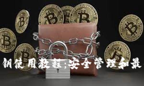 Tokenim私钥使用教程：安全管理和最佳实践指南