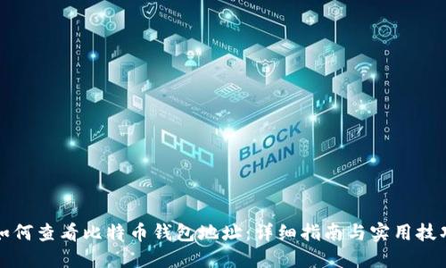 如何查看比特币钱包地址：详细指南与实用技巧