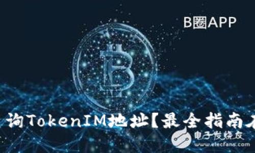 如何查询TokenIM地址？最全指南在这里！