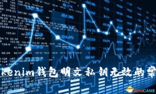 解决Tokenim钱包明文私钥无效的常见问题