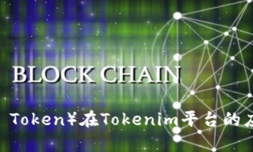 链克（Link Token）在Tokenim平台的应用与前景