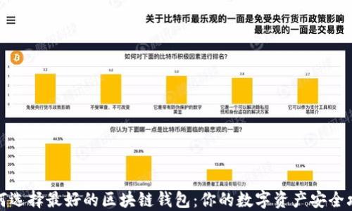 
如何选择最好的区块链钱包：你的数字资产安全攻略