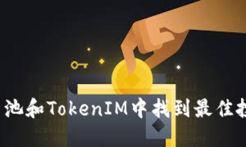 如何在鱼池和TokenIM中找到最佳投资机会？