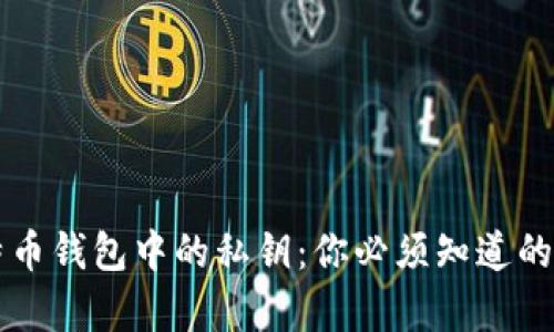 比特币钱包中的私钥：你必须知道的真相